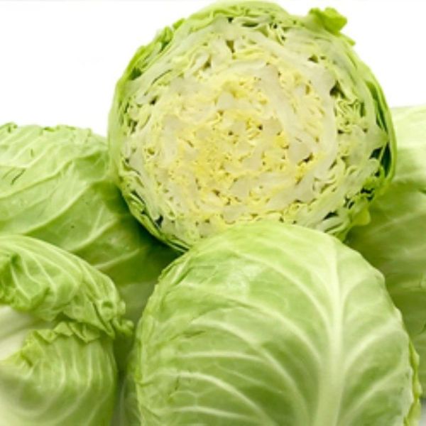 بذر کلم پیچ سبز